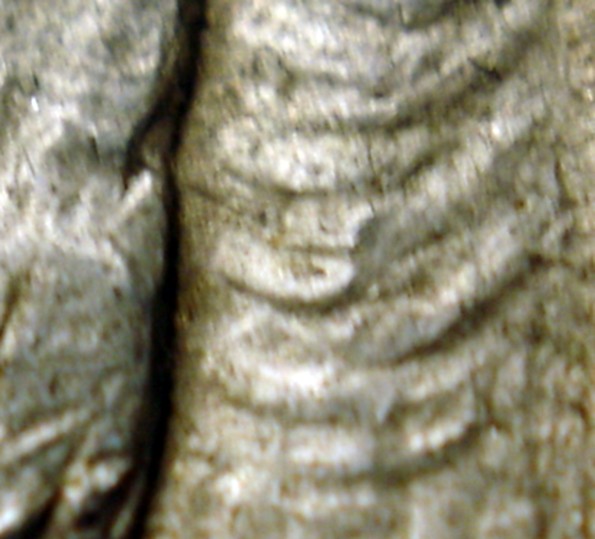 1888-0-VAM-17--Top-100-Morgans.